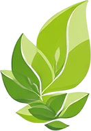 Leaf Icon
